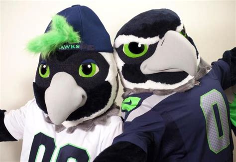 Seattle seahawks mascots crash